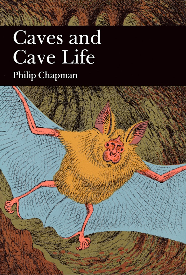 Cover image for Caves and Cave Life (Collins New Naturalist Library, Book 79), isbn: 9780007403974