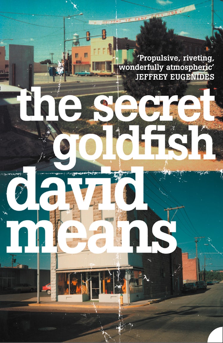 Cover image for The Secret Goldfish, isbn: 9780007405336