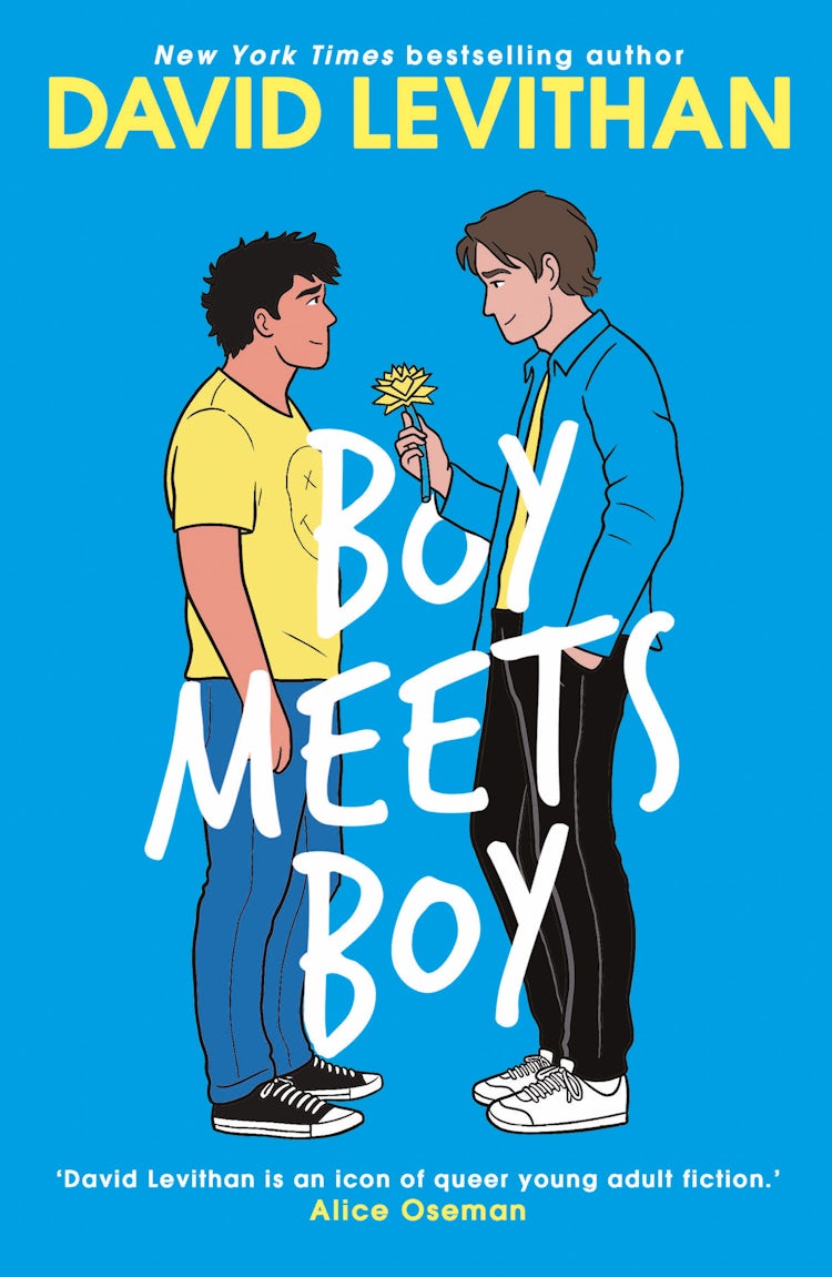 Cover image for Boy Meets Boy, isbn: 9780007405510
