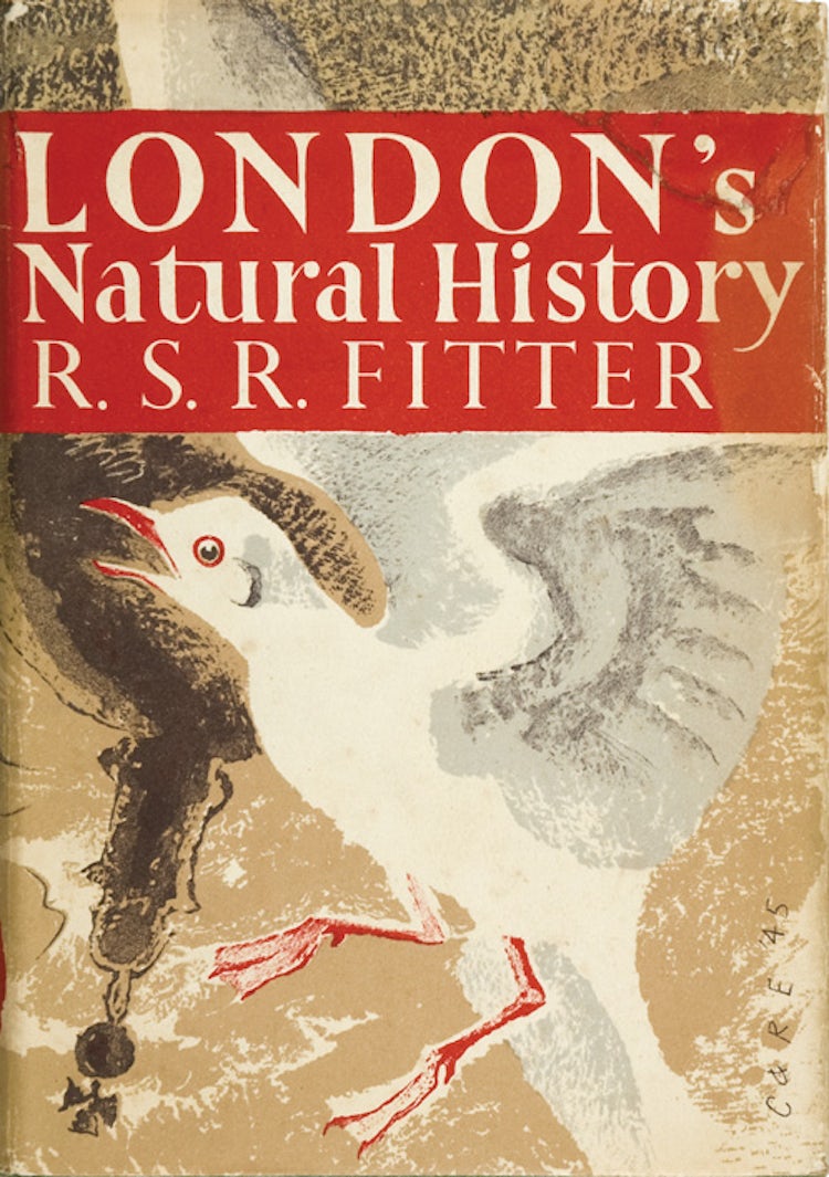 Cover image for London’s Natural History (Collins New Naturalist Library, Book 3), isbn: 9780007406074