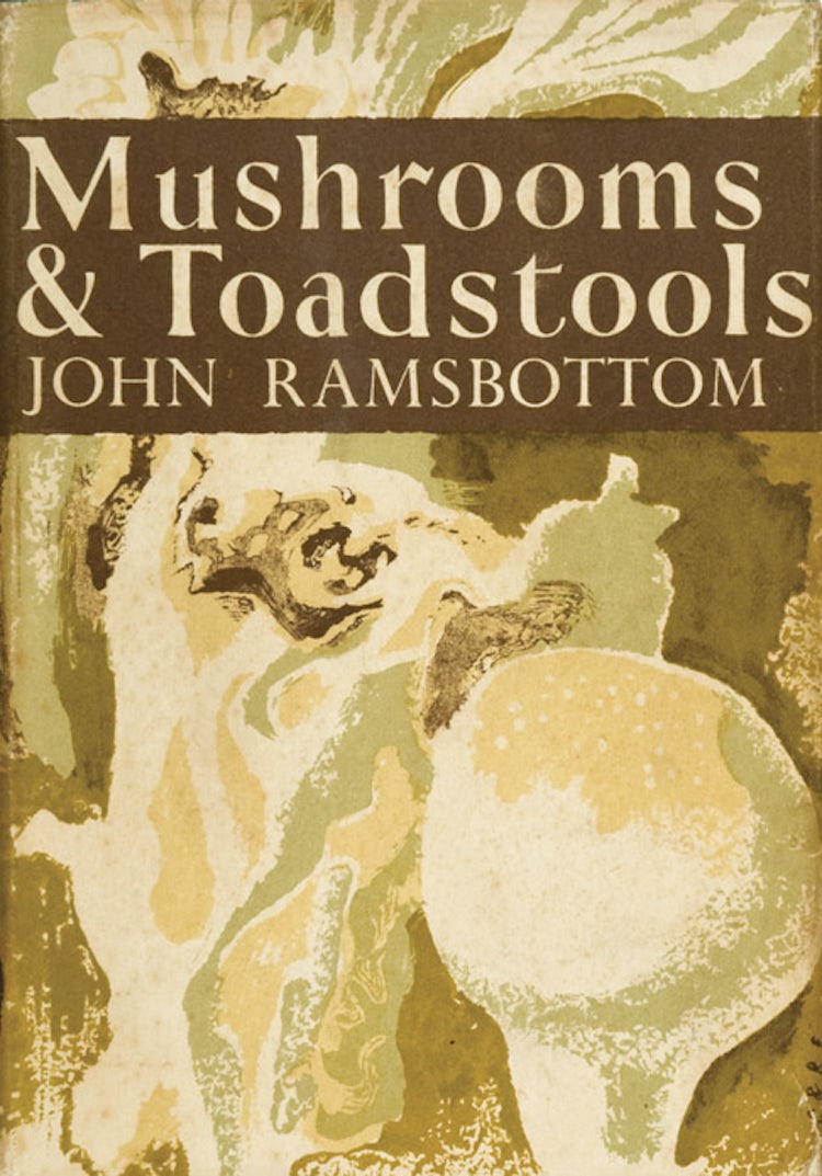 Cover image for Mushrooms and Toadstools (Collins New Naturalist Library, Book 7), isbn: 9780007406104