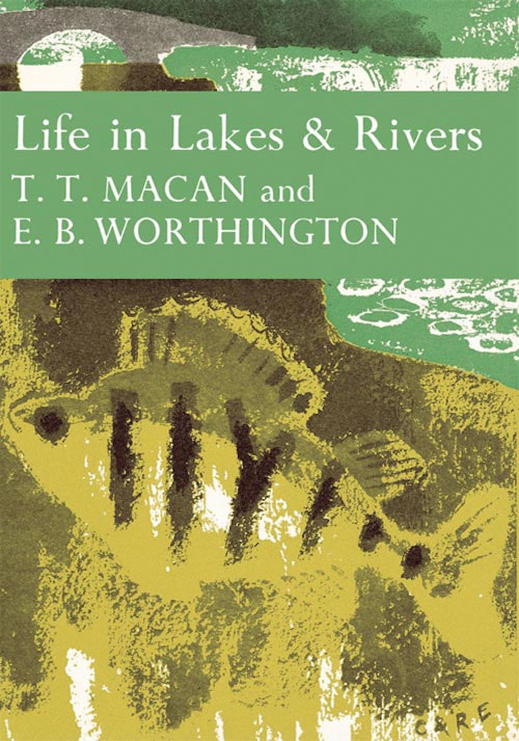 Cover image for Life in Lakes and Rivers (Collins New Naturalist Library, Book 15), isbn: 9780007406135