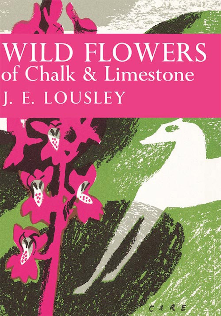Cover image for Wild Flowers of Chalk and Limestone (Collins New Naturalist Library, Book 16), isbn: 9780007406142