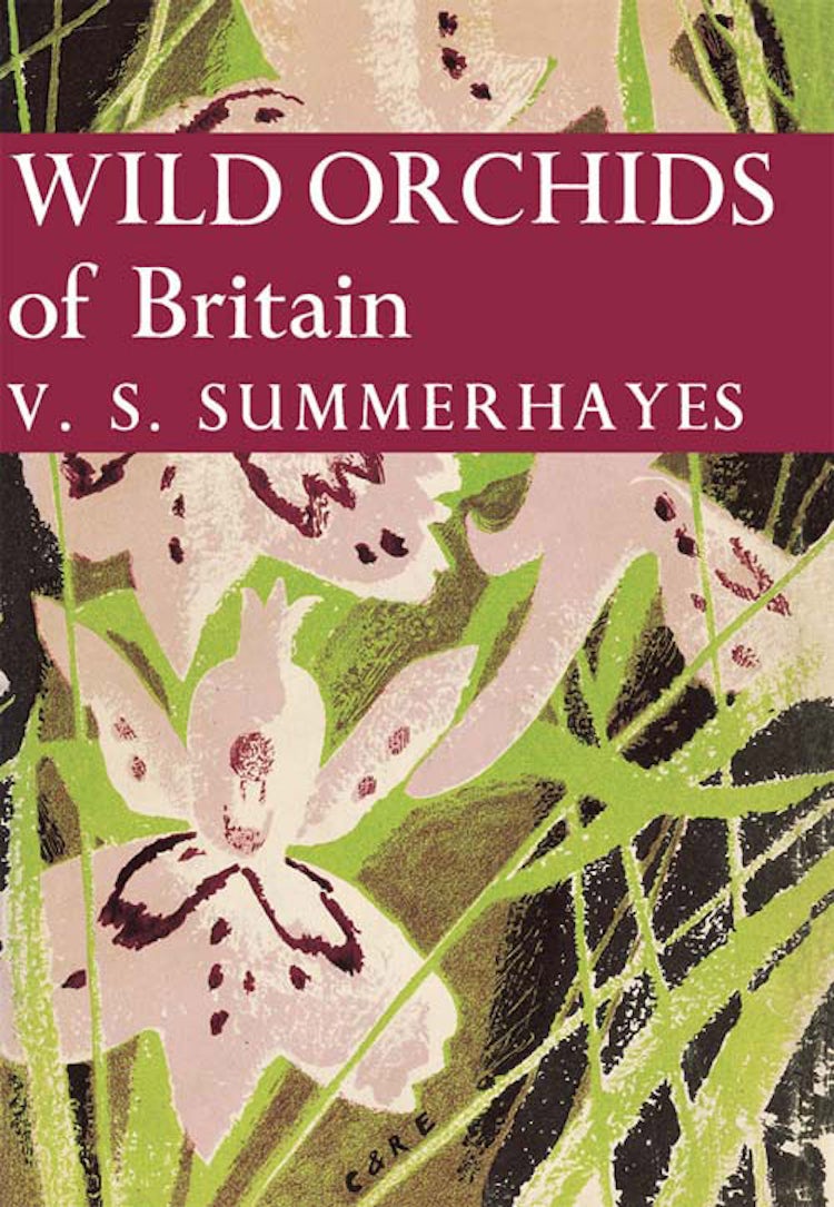 Cover image for Wild Orchids of Britain (Collins New Naturalist Library, Book 19), isbn: 9780007406173