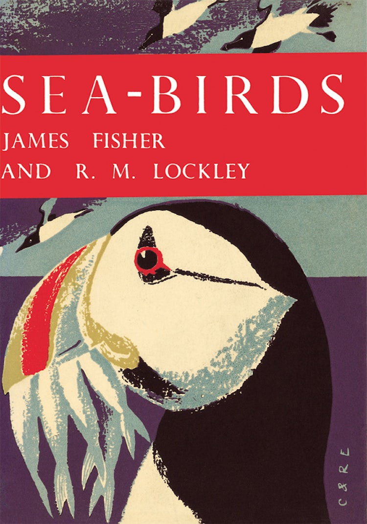 Cover image for Sea-Birds (Collins New Naturalist Library, Book 28), isbn: 9780007406258