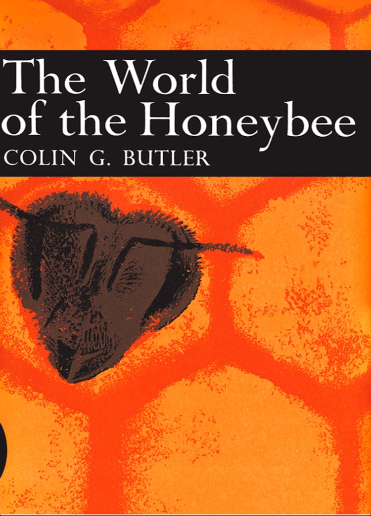 Cover image for The World of the Honeybee (Collins New Naturalist Library, Book 29), isbn: 9780007406265