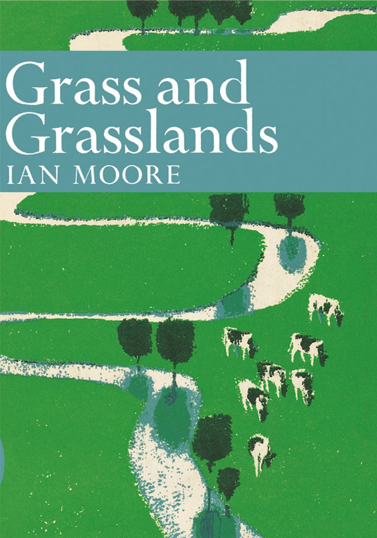 Cover image for Grass and Grassland (Collins New Naturalist Library, Book 48), isbn: 9780007406395