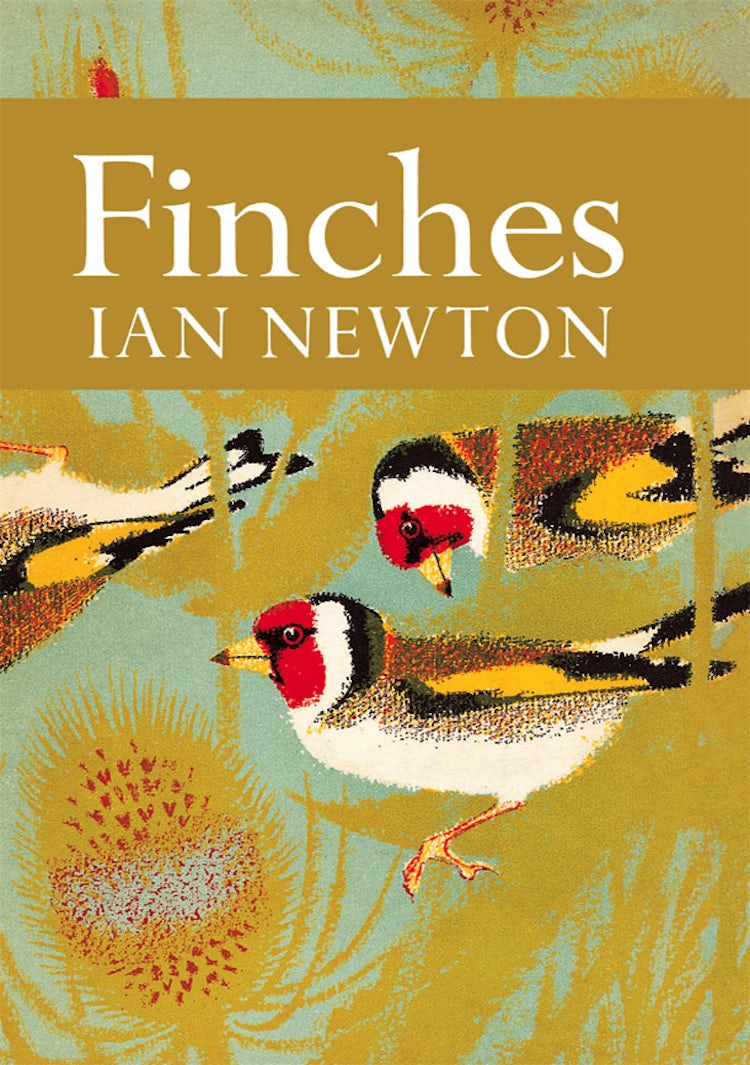 Cover image for Finches (Collins New Naturalist Library, Book 55), isbn: 9780007406449