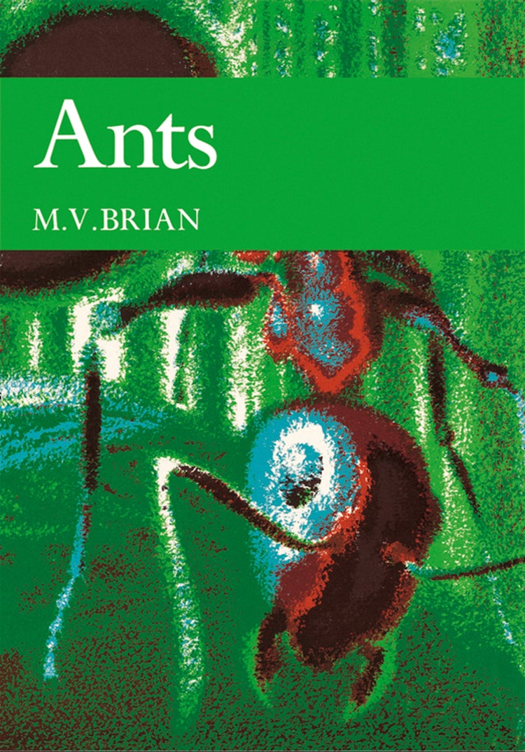 Cover image for Ants (Collins New Naturalist Library, Book 59), isbn: 9780007406470