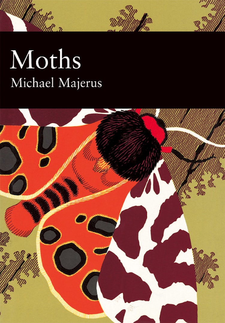Cover image for Moths (Collins New Naturalist Library, Book 90), isbn: 9780007406739