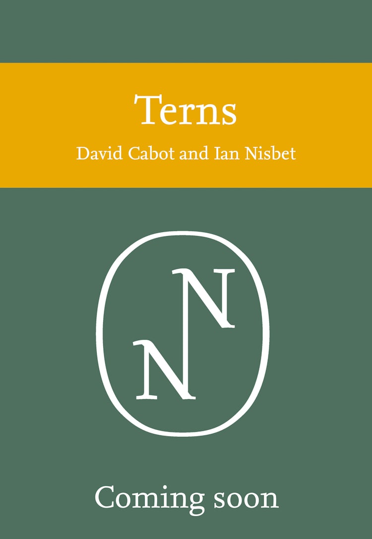 Cover image for Terns (Collins New Naturalist Library, Book 123), isbn: 9780007412495