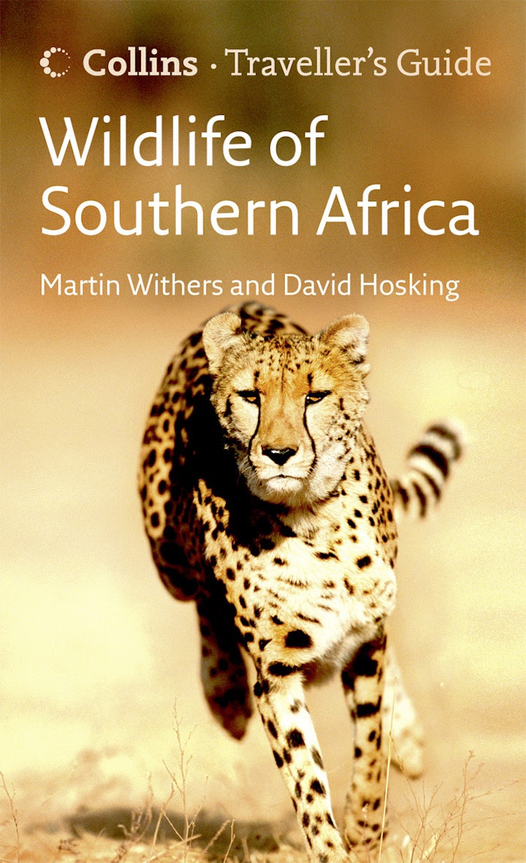 Cover image for Wildlife of Southern Africa (Traveller’s Guide), isbn: 9780007413263