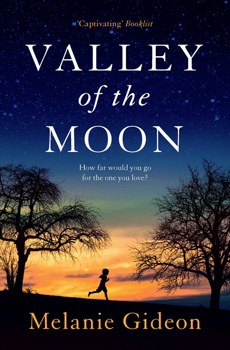 Cover image for Valley of the Moon, isbn: 9780007425532