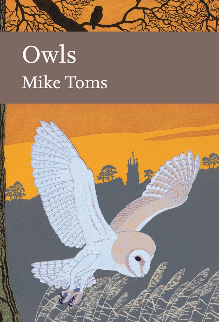 Cover image for Owls (Collins New Naturalist Library, Book 125), isbn: 9780007425563