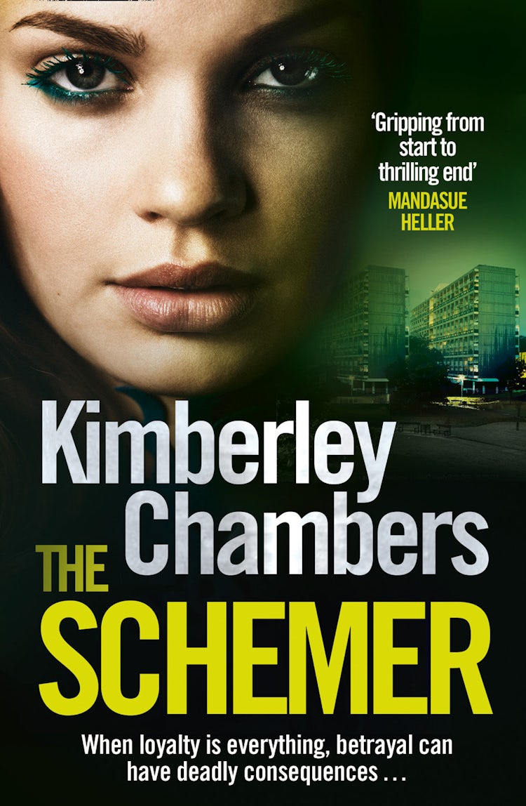 Cover image for The Schemer, isbn: 9780007435029