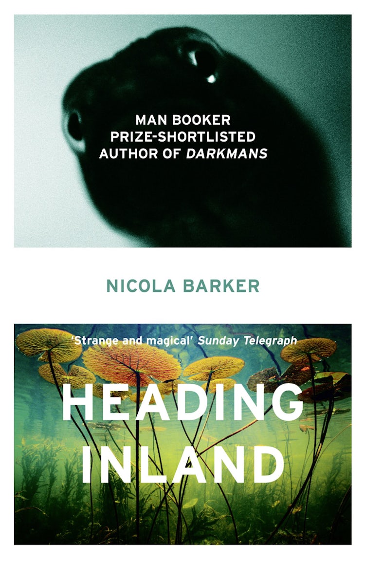 Cover image for Heading Inland, isbn: 9780007435715