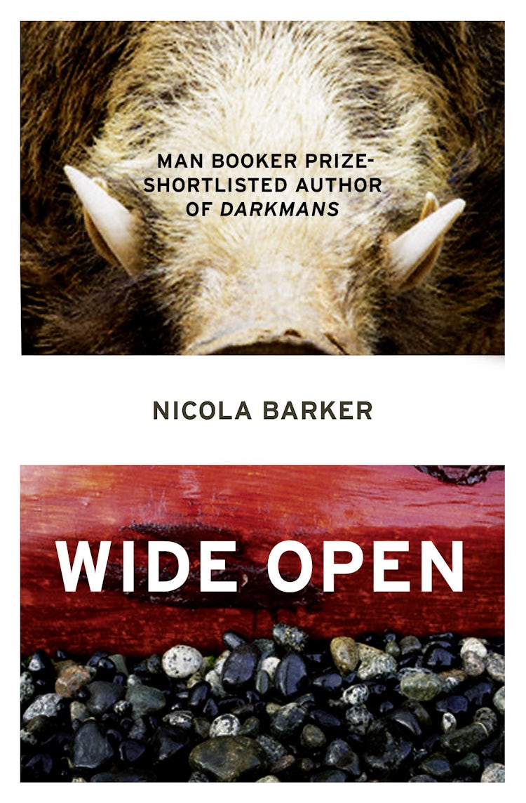 Cover image for Wide Open, isbn: 9780007435722