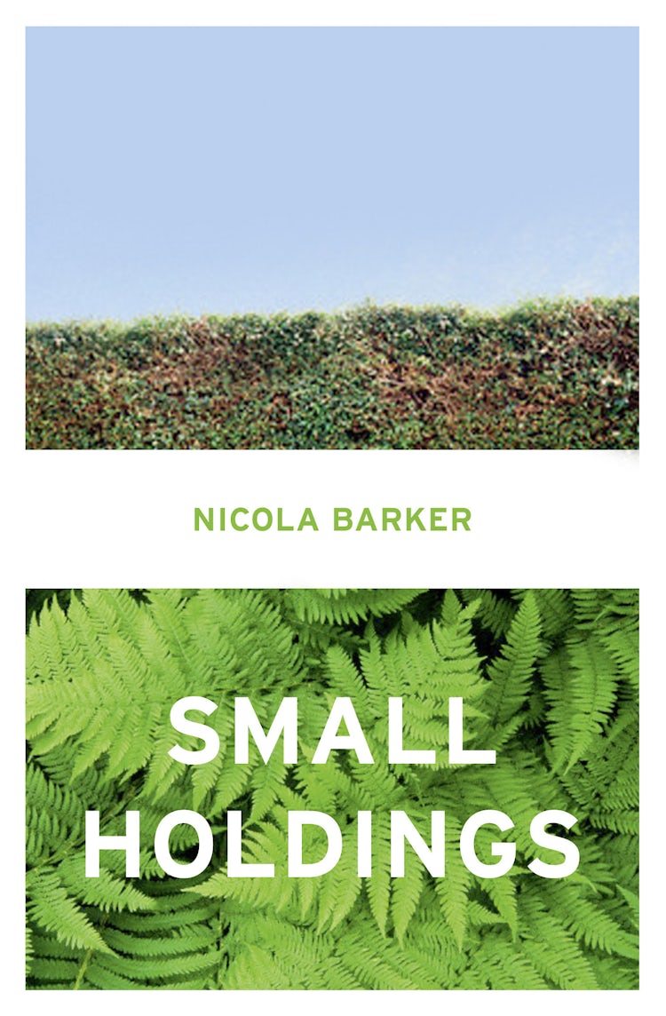 Cover image for Small Holdings, isbn: 9780007436040