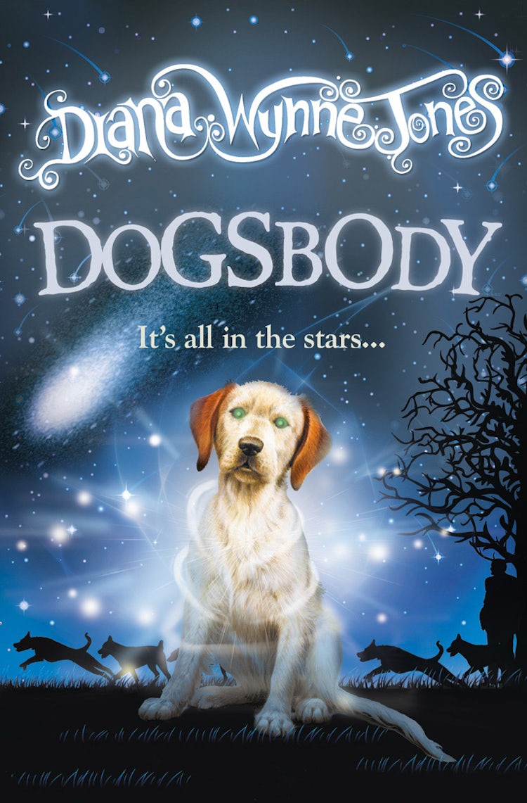 Cover image for Dogsbody, isbn: 9780007439720
