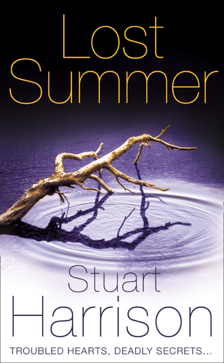 Cover image for Lost Summer, isbn: 9780007440252