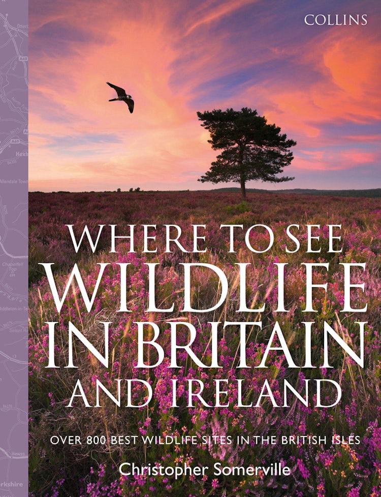 Cover image for Collins Where to See Wildlife in Britain and Ireland: Over 800 Best Wildlife Sites in the British Isles, isbn: 9780007442379