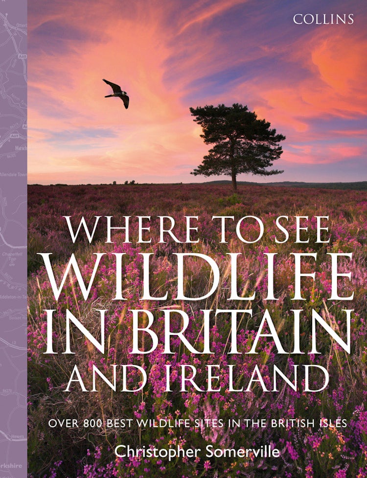 Cover image for Collins Where to See Wildlife in Britain and Ireland: Over 800 Best Wildlife Sites in the British Isles, isbn: 9780007442386