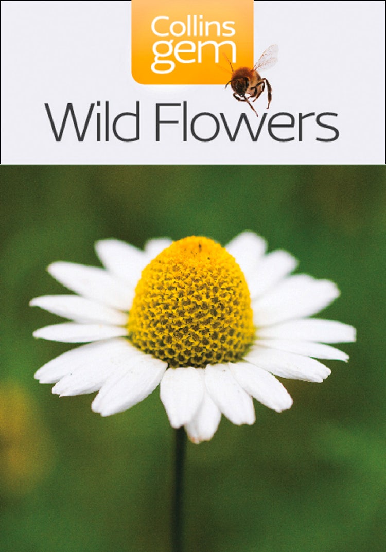 Cover image for Wild Flowers (Collins Gem), isbn: 9780007448531