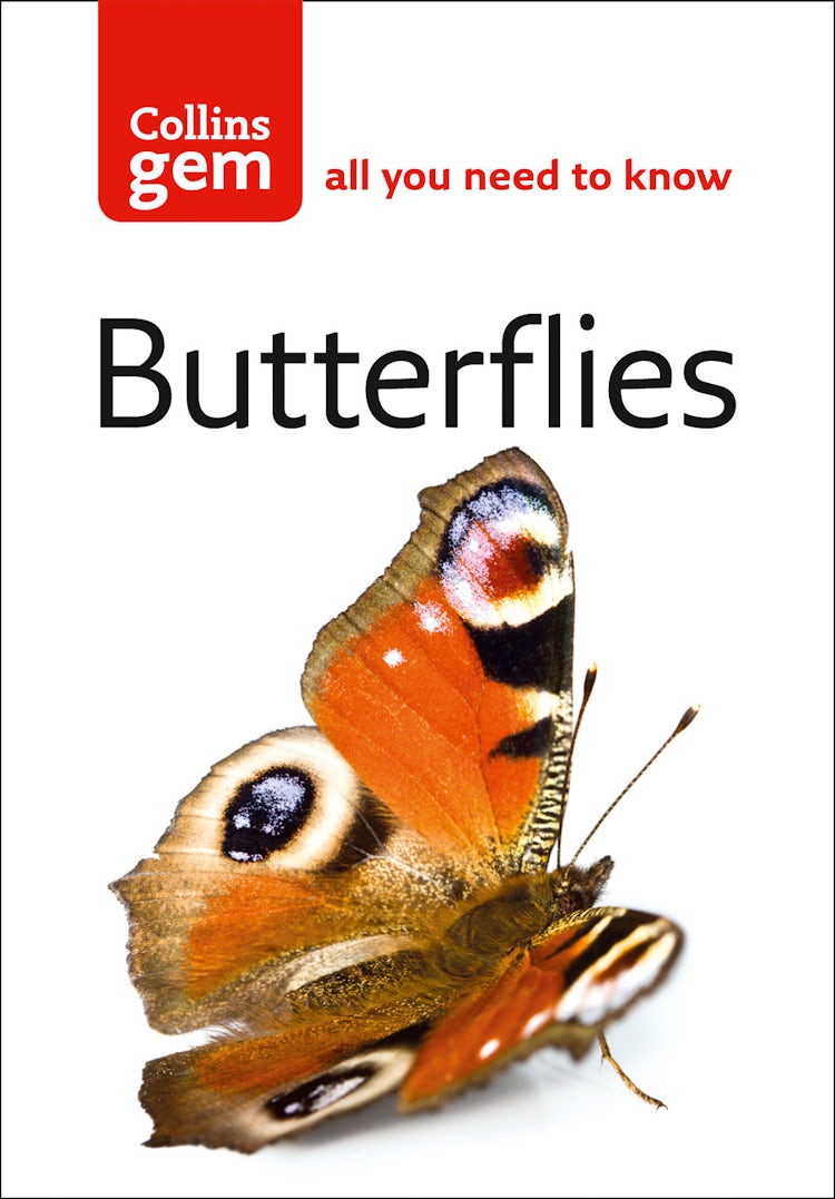 Cover image for Butterflies (Collins Gem), isbn: 9780007448548