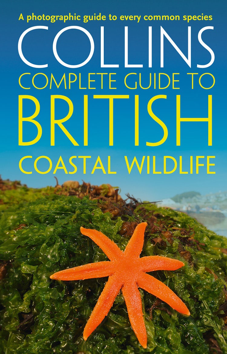 Cover image for British Coastal Wildlife (Collins Complete Guides), isbn: 9780007448586