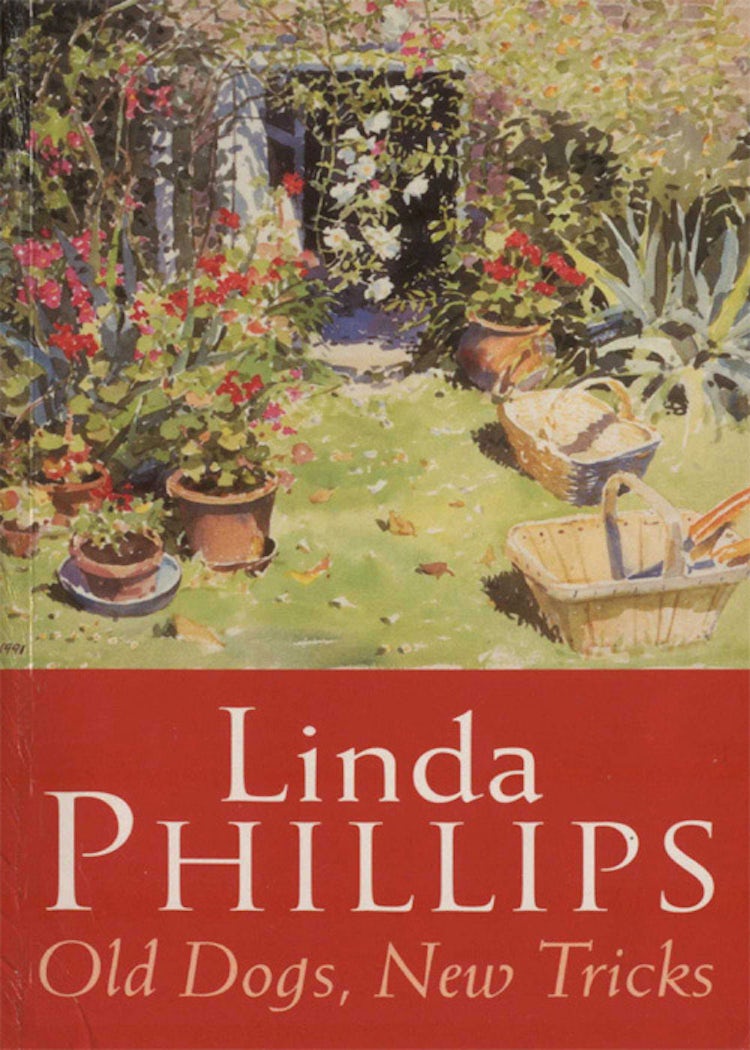 Cover image for Old Dogs, New Tricks, isbn: 9780007455348