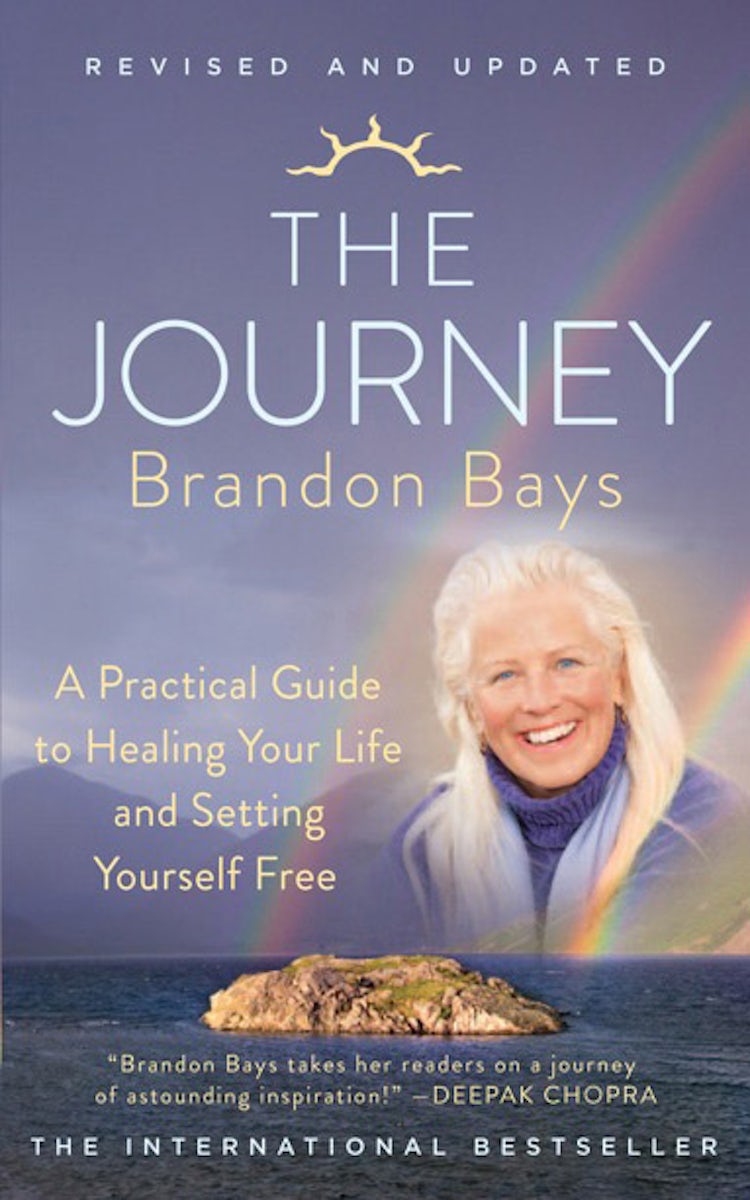 Cover image for The Journey: An Extraordinary Guide for Healing Your Life and Setting Yourself Free, isbn: 9780007456079