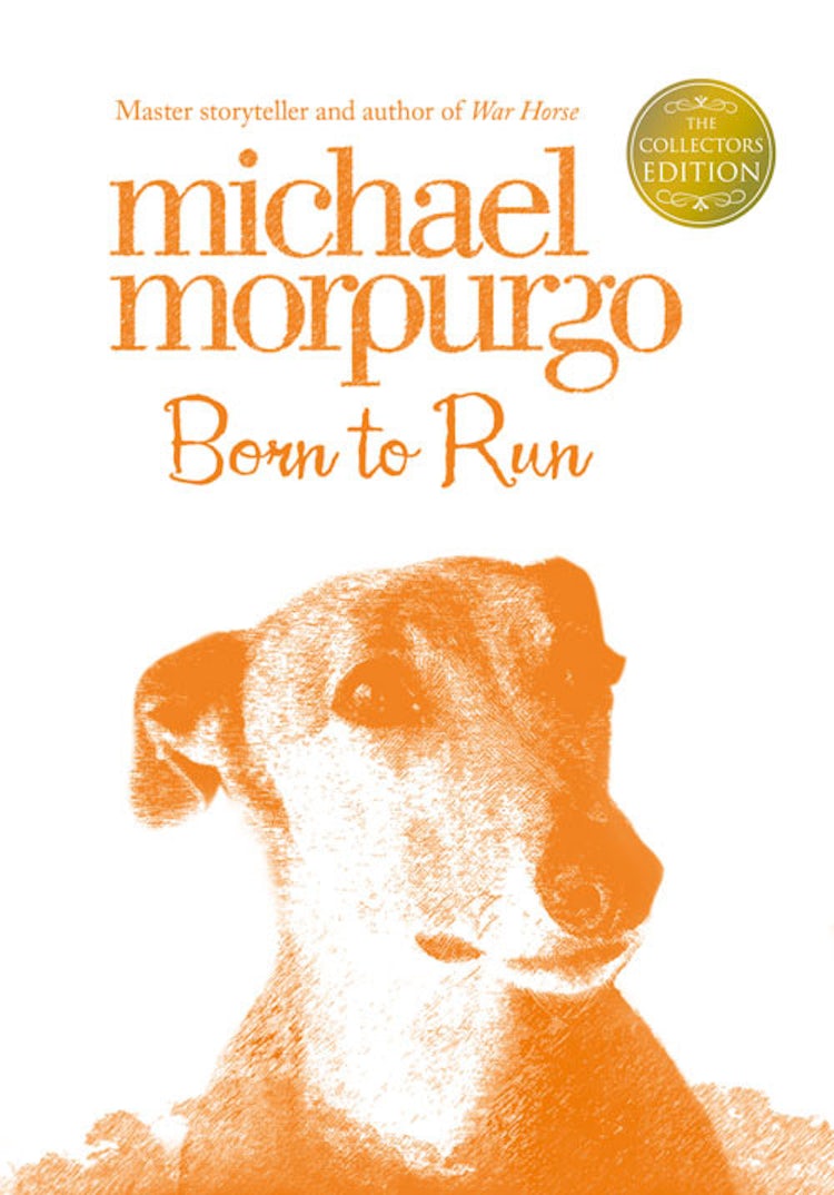 Cover image for Born To Run Collectors Edition, isbn: 9780007456147