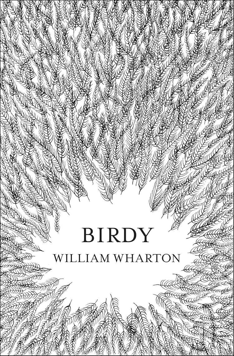 Cover image for Birdy, isbn: 9780007457984