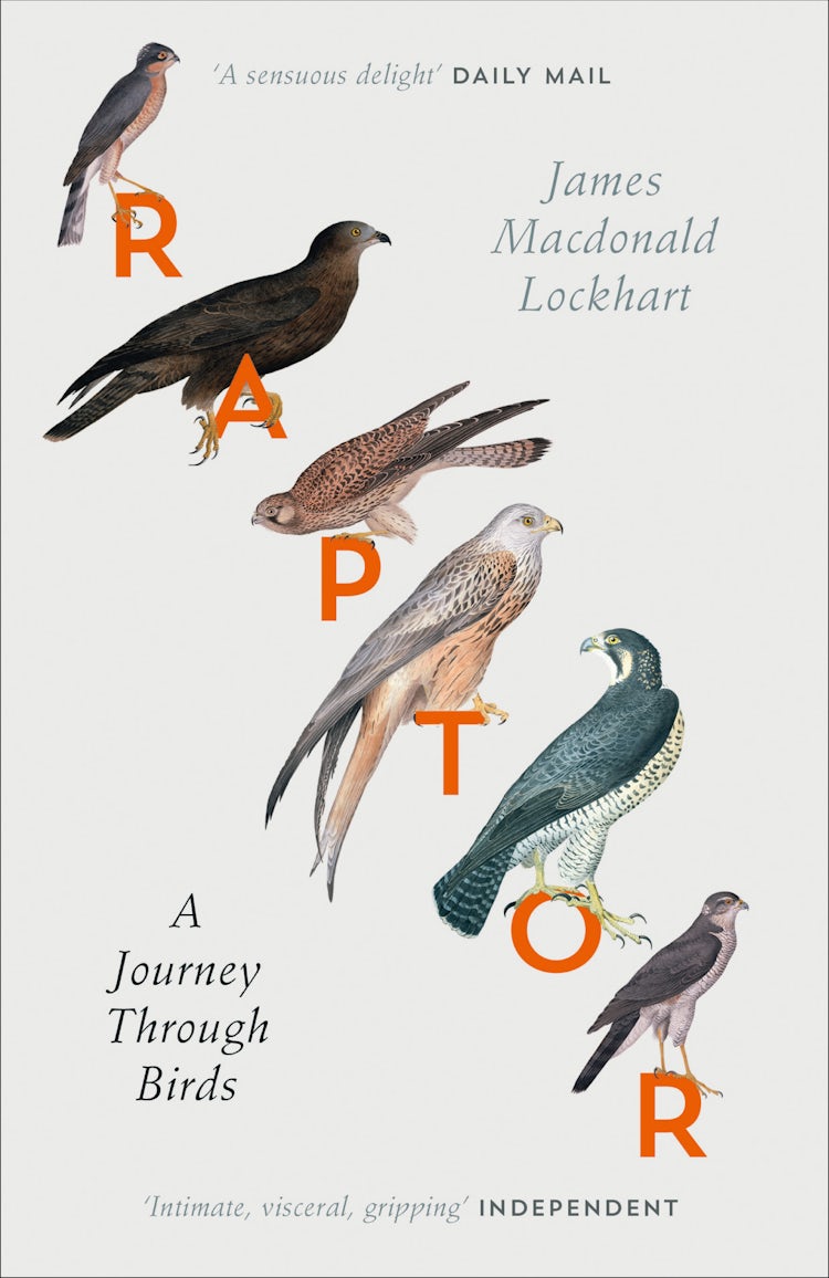 Cover image for Raptor: A Journey Through Birds, isbn: 9780007459889