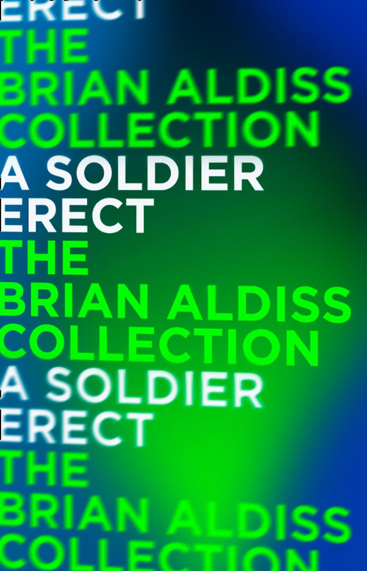Cover image for A Soldier Erect: or Further Adventures of the Hand-Reared Boy (Horatio Stubbs, Book 2), isbn: 9780007462537