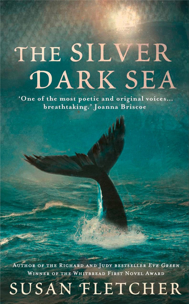 Cover image for The Silver Dark Sea, isbn: 9780007465095