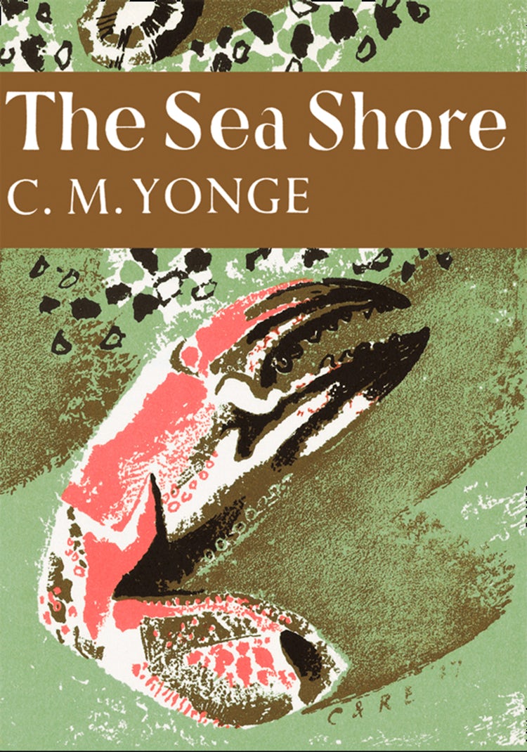 Cover image for The Sea Shore (Collins New Naturalist Library, Book 12), isbn: 9780007465804