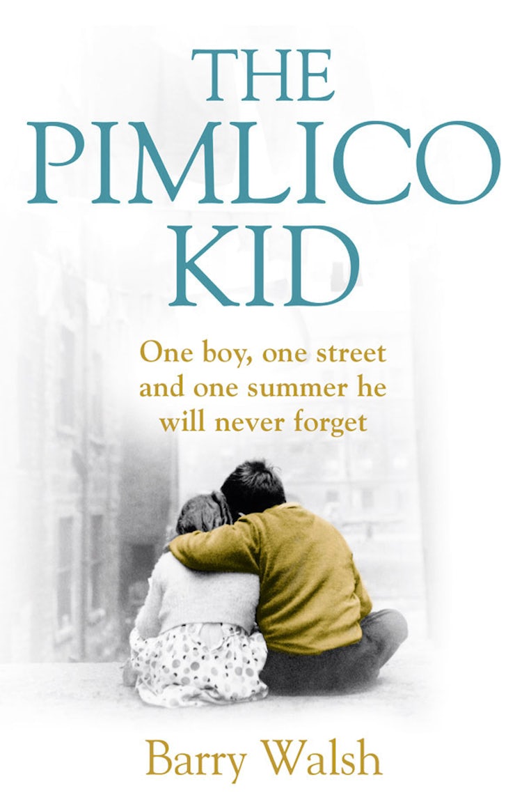 Cover image for The Pimlico Kid, isbn: 9780007468201