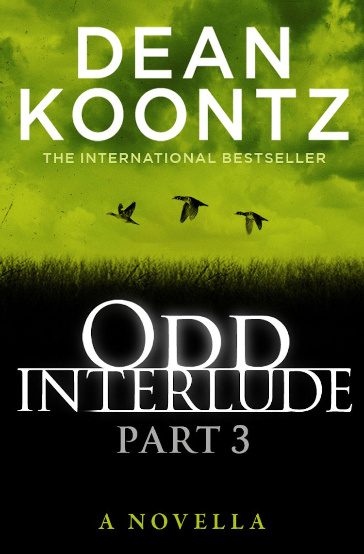 Cover image for Odd Interlude Part Three, isbn: 9780007468492