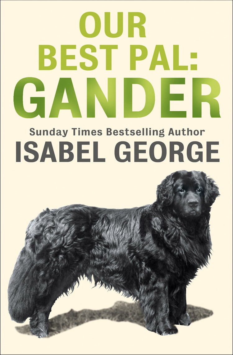 Cover image for Our Best Pal: Gander, isbn: 9780007478804