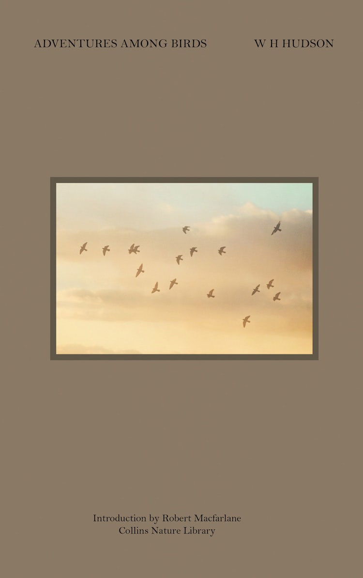 Cover image for Adventures Among Birds (Collins Nature Library), isbn: 9780007479009
