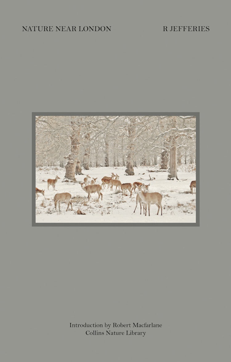 Cover image for Nature Near London (Collins Nature Library), isbn: 9780007479023