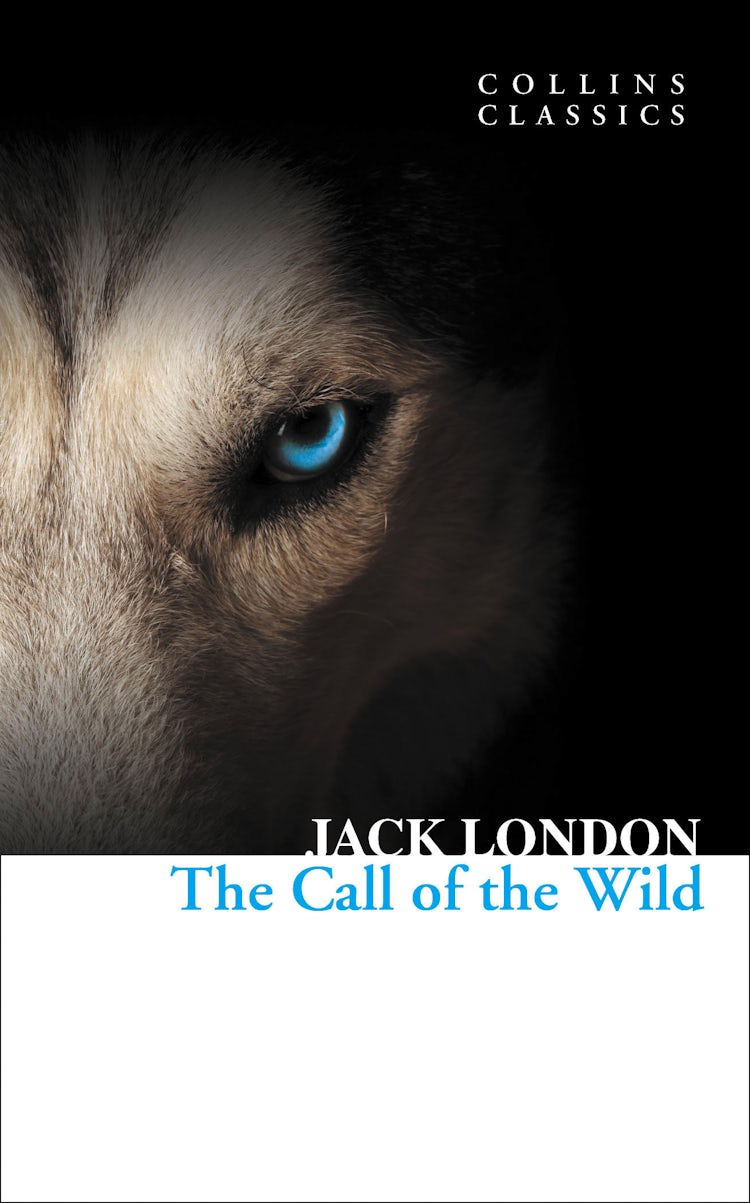 Cover image for The Call of the Wild (Collins Classics), isbn: 9780007480708
