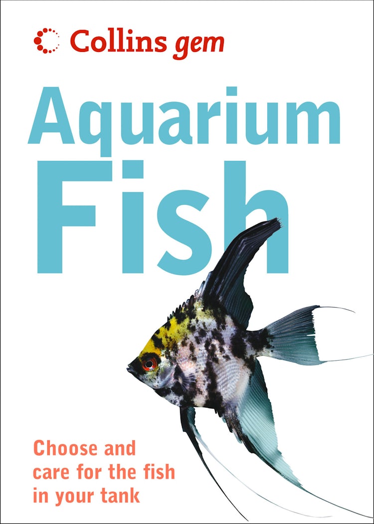 Cover image for Aquarium Fish (Collins Gem), isbn: 9780007483648