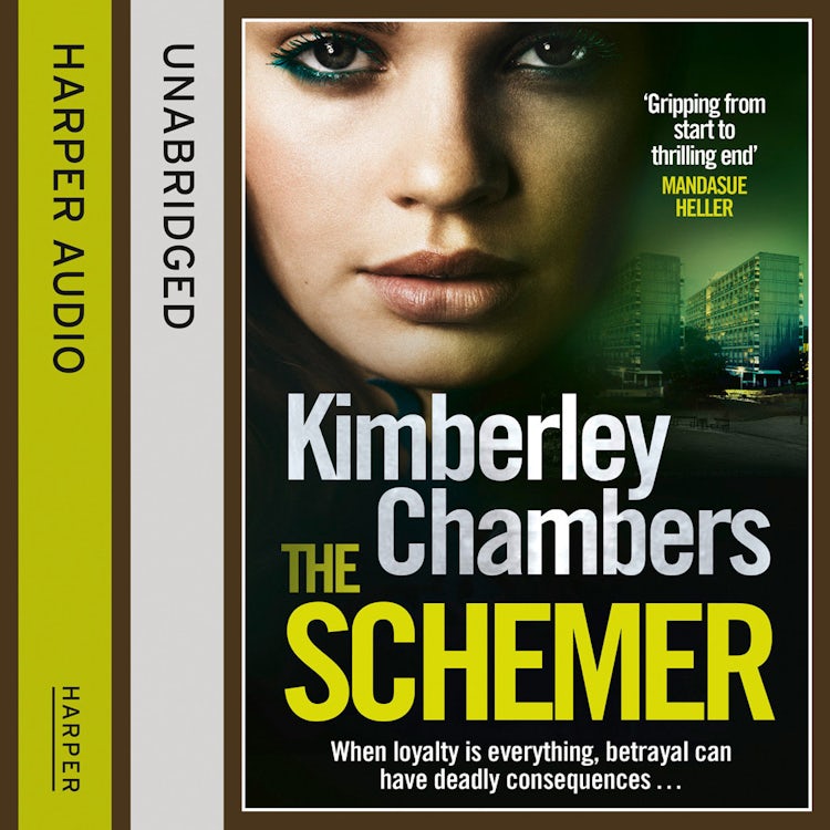 Cover image for The Schemer, isbn: 9780007490004