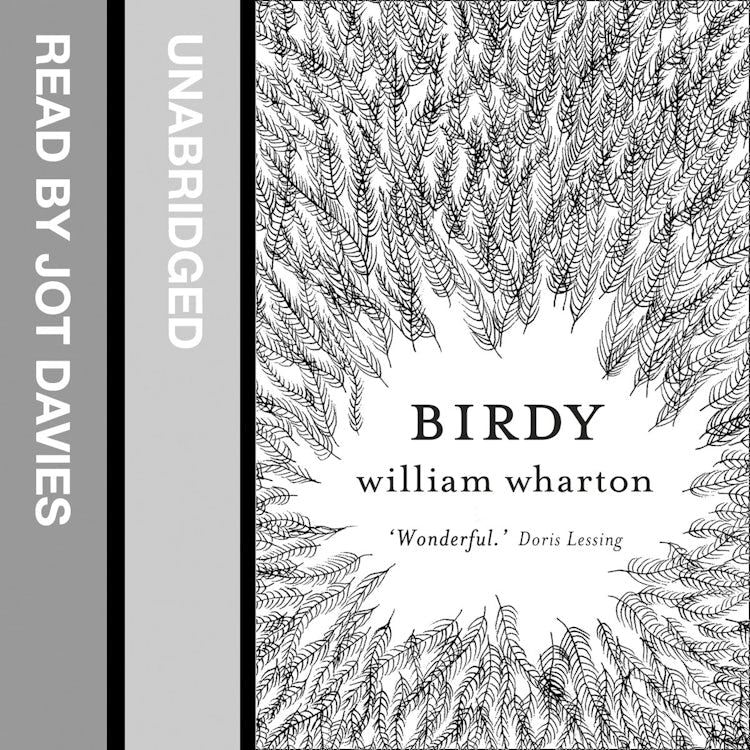 Cover image for Birdy, isbn: 9780007490073
