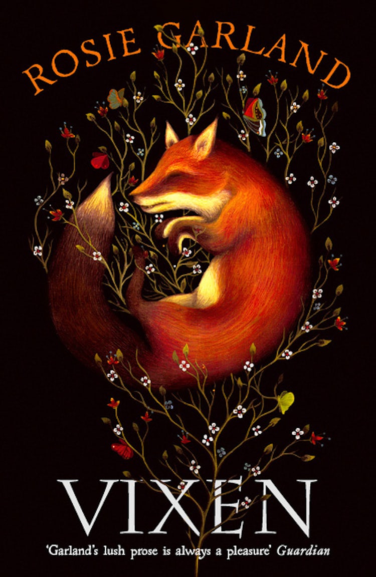 Cover image for Vixen, isbn: 9780007492800