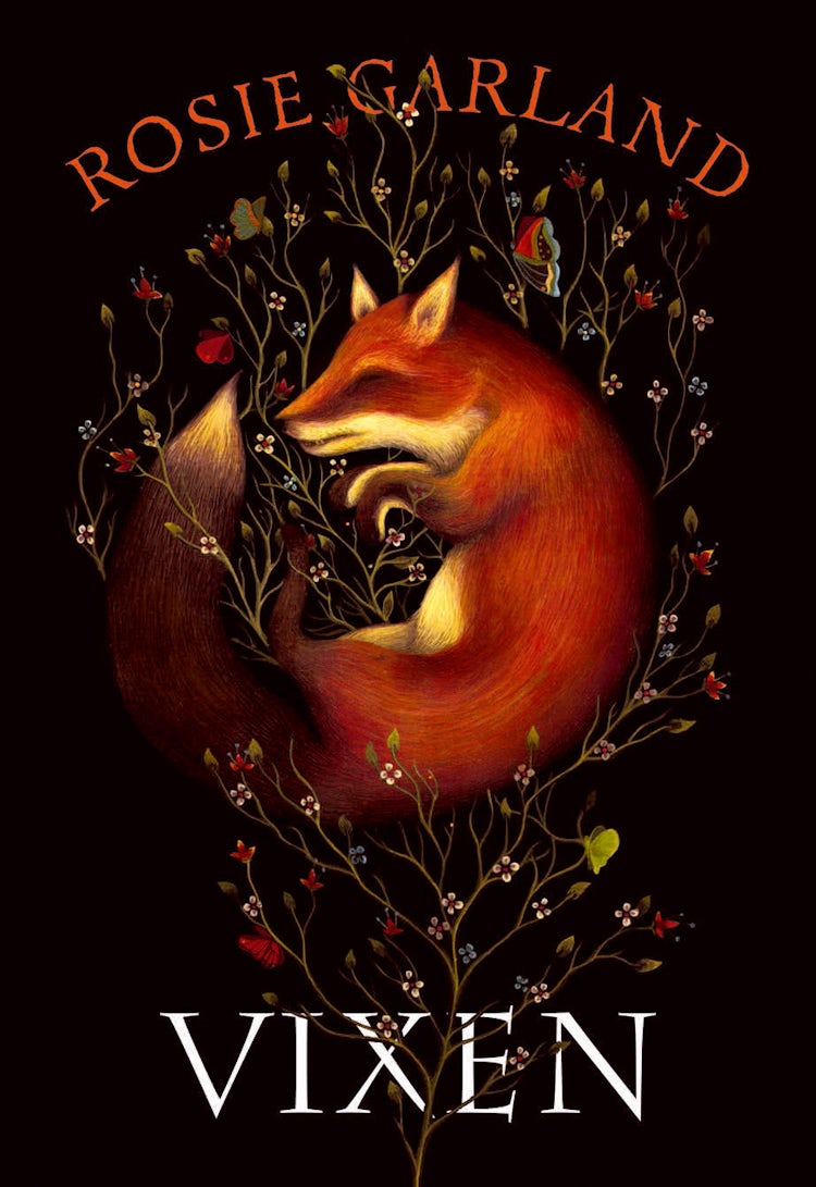 Cover image for Vixen, isbn: 9780007492817