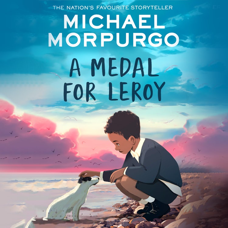Cover image for A Medal for Leroy: A heartwarming children’s tale of love and family and what it means to know who you are, isbn: 9780007497874
