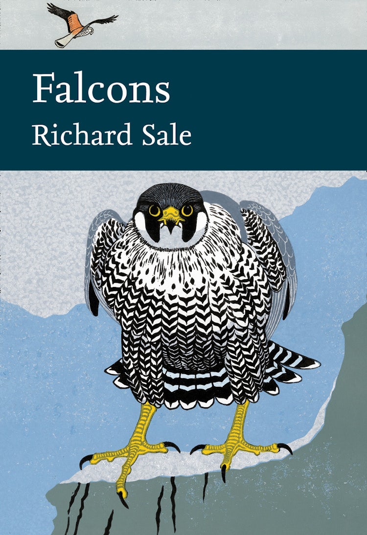 Cover image for Falcons (Collins New Naturalist Library, Book 132), isbn: 9780007511433
